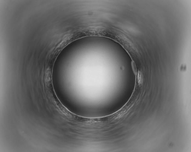 X0000090931107200708131448