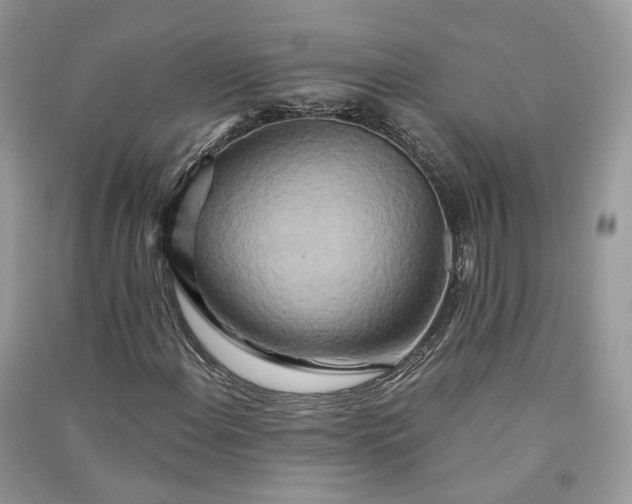 X0000090931108200708131448