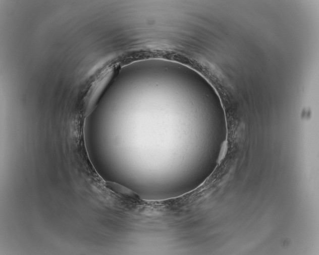 X0000090931110200708131448