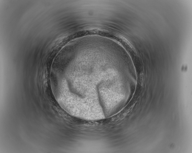 X0000090931111200708131448