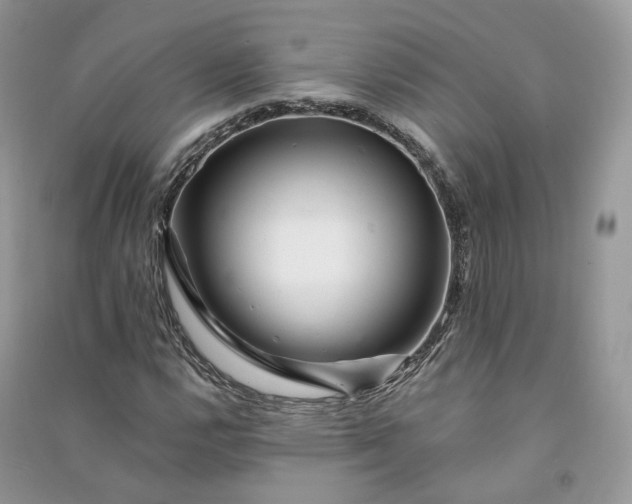 X0000090931112200708131448