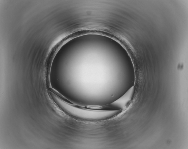 X0000090931114200708131448