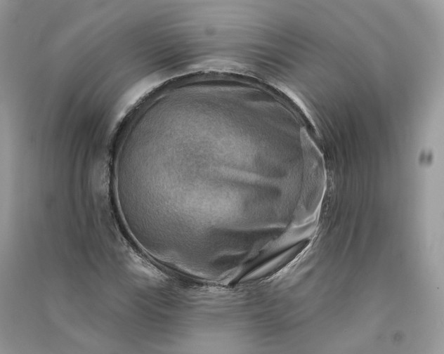 X0000090931115200708131448