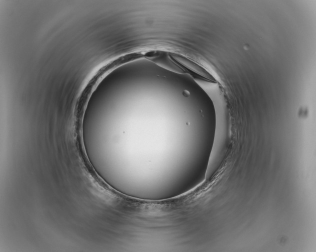 X0000090931116200708131448