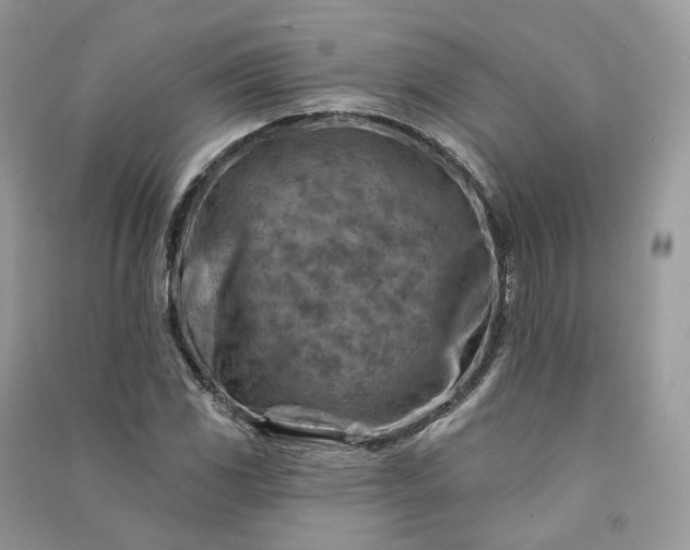 X0000090931117200708131448