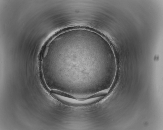 X0000090931118200708131448