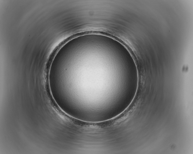 X0000090931119200708131448