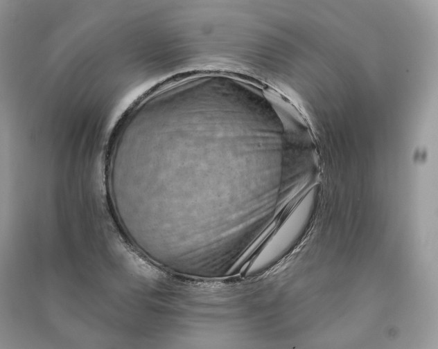 X0000090931120200708131448