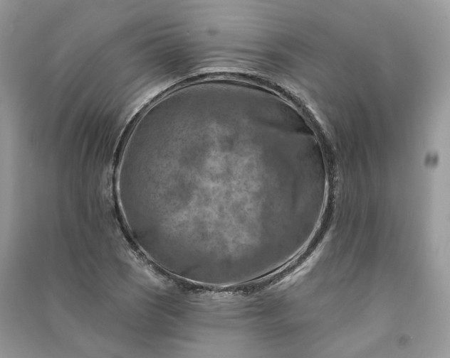 X0000090931121200708131448