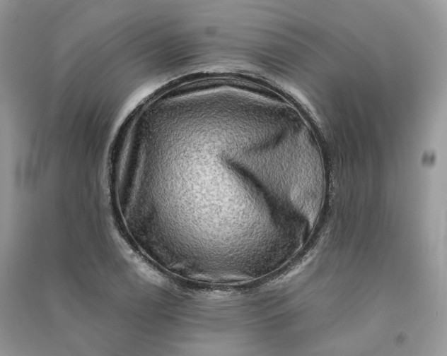 X0000090931122200708131448