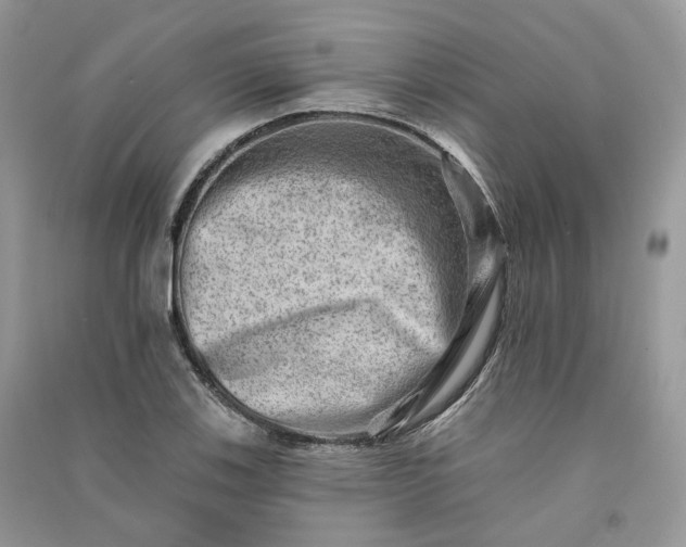 X0000090931123200708131448