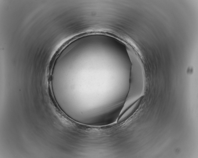 X0000090931124200708131448