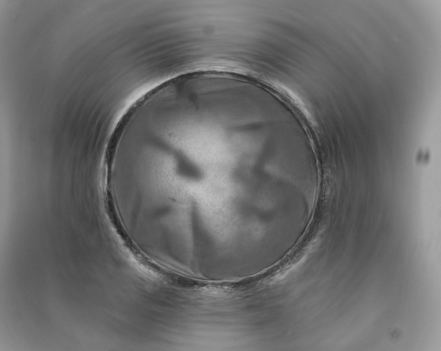 X0000090931125200708131448