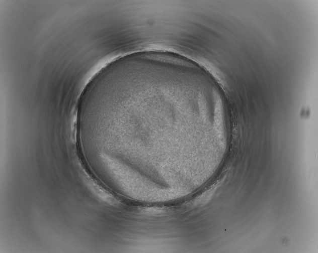 X0000090931126200708131448