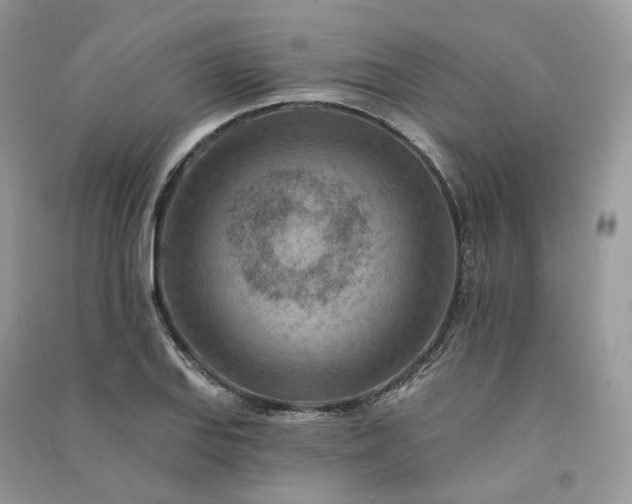 X0000090931127200708131448