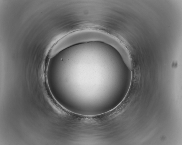 X0000090931128200708131448