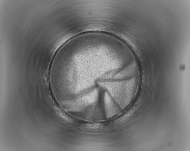 X0000090931129200708131448