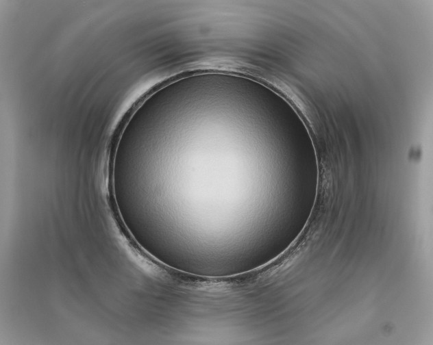 X0000090931131200708131448