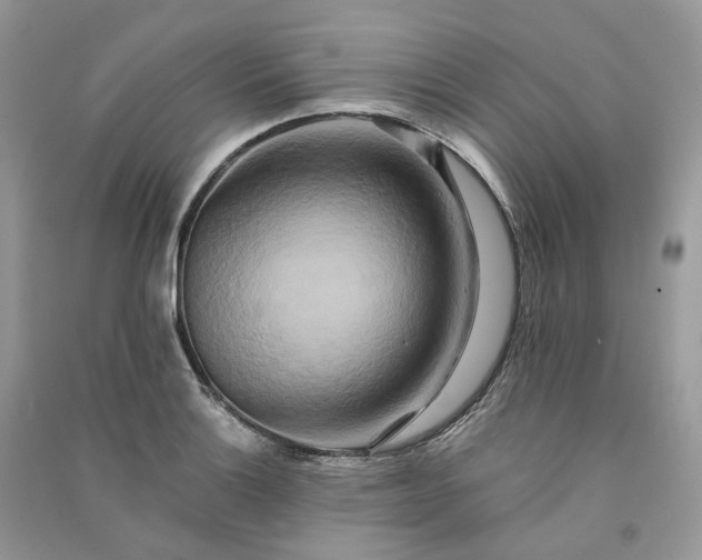 X0000090931132200708131448