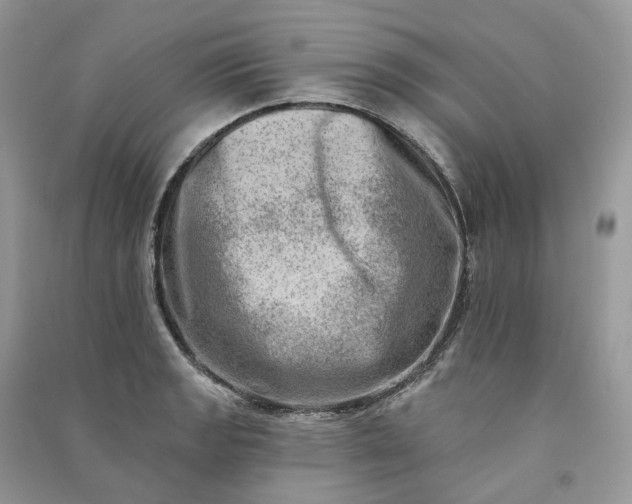 X0000090931133200708131448