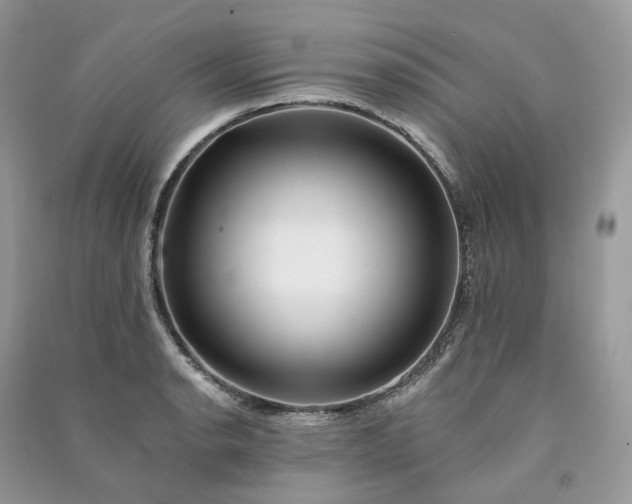 X0000090931134200708131448