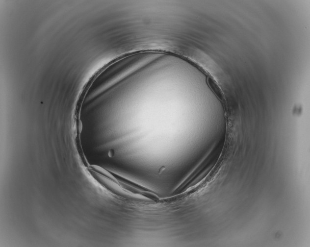 X0000090931135200708131448