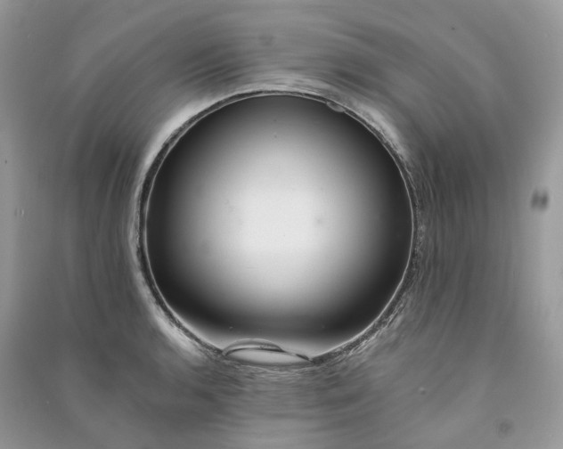 X0000090931136200708131448