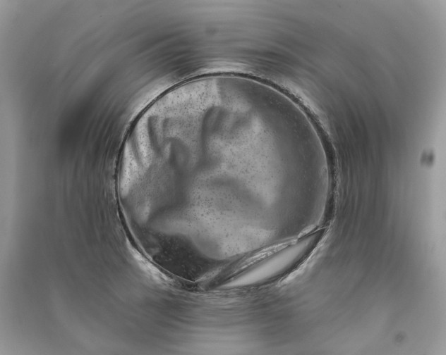 X0000090931137200708131448