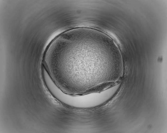 X0000090931138200708131448