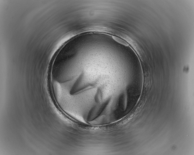 X0000090931139200708131448