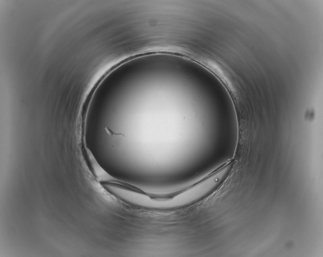 X0000090931140200708131448