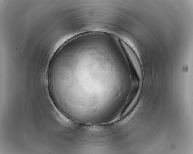 X0000090931141200708131448