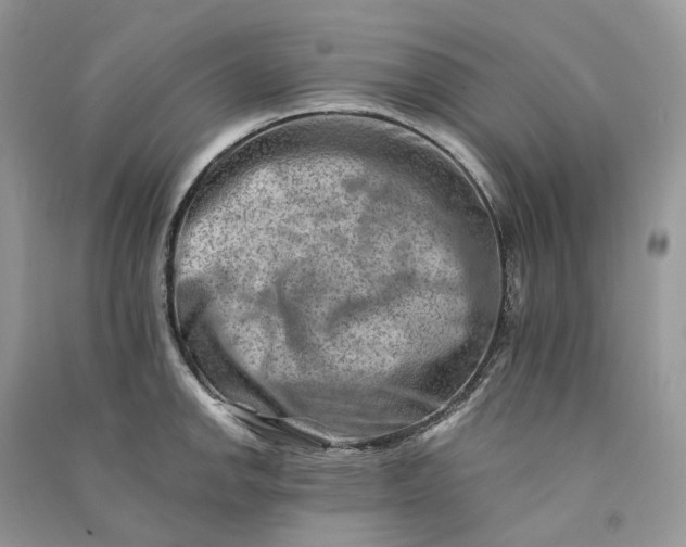 X0000090931142200708131448