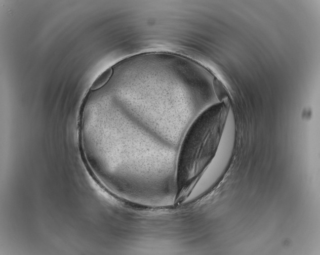 X0000090931143200708131448