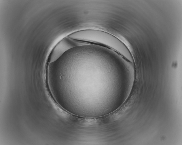 X0000090931144200708131448