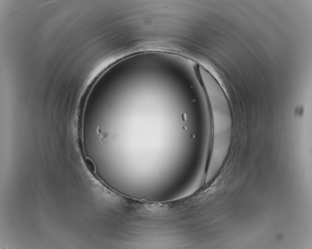 X0000090931147200708131448