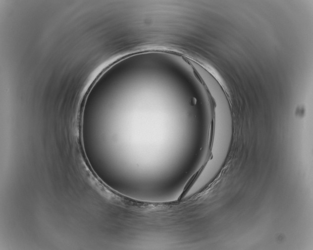 X0000090931148200708131448