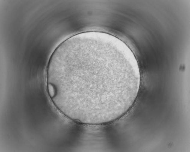 X0000090931150200708131448