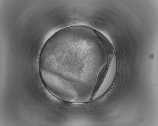 X0000090931151200708131448