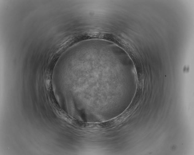 X0000090931154200708131447