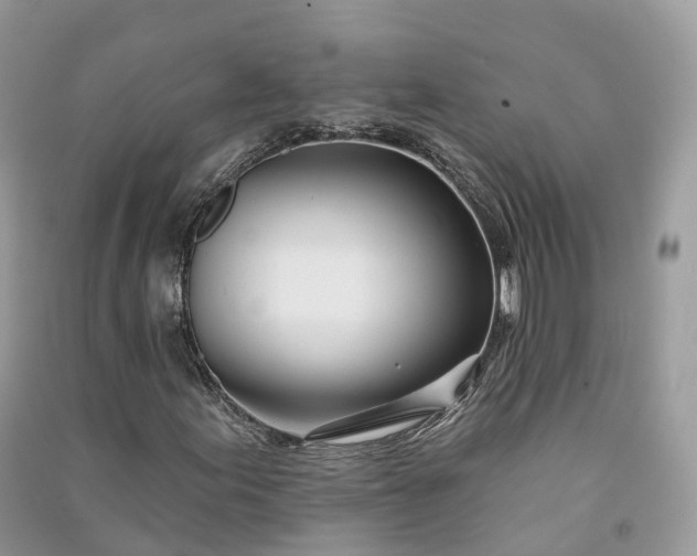 X0000090931155200708131447