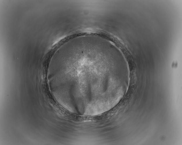 X0000090931158200708131447