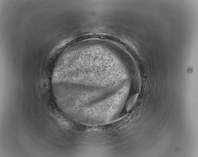 X0000090931159200708131447