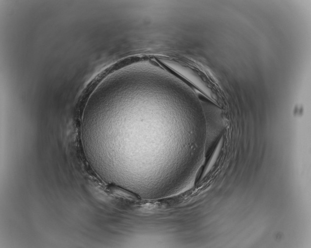 X0000090931160200708131447