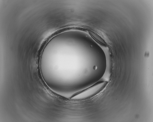 X0000090931164200708131447