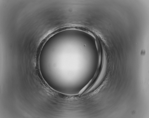 X0000090931165200708131447