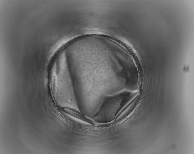 X0000090931167200708131447