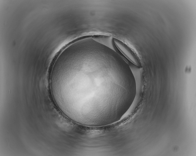 X0000090931173200708131447