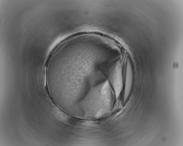 X0000090931175200708131447