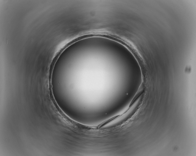 X0000090931176200708131447